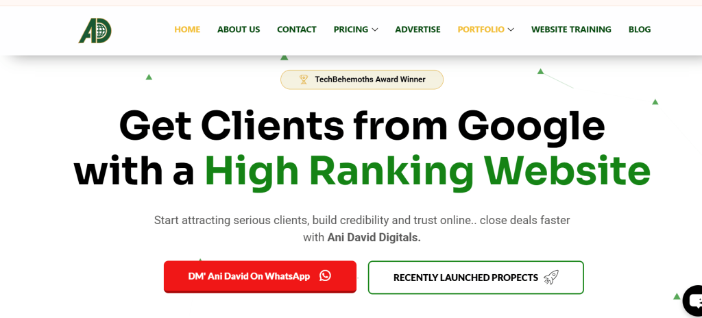 Ani David homepage showing SEO service for Nigerian businesses
